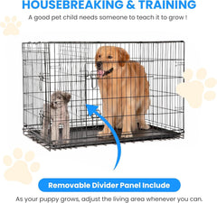 Simple Deluxe jaula plegable con divisor, ideal para dos mascotas en una misma estructura.