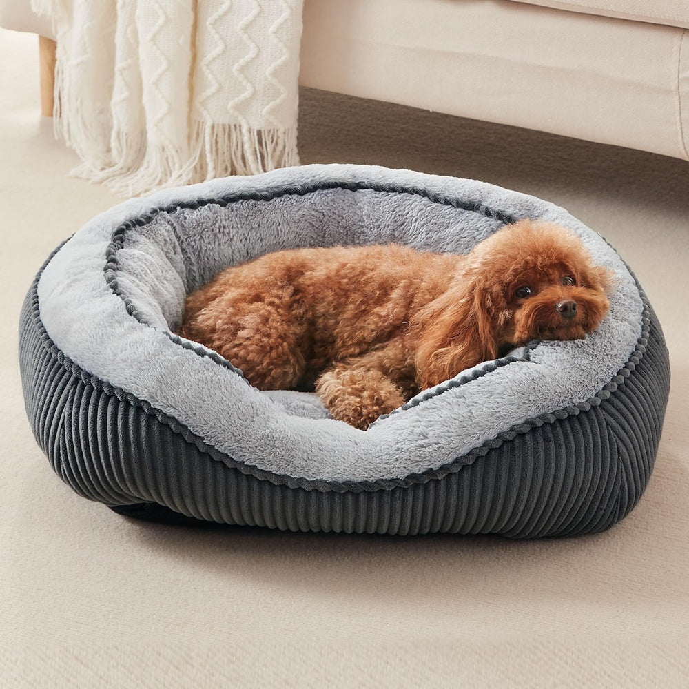 Cama SIWA MARY para perros pequeños, rectángulo, cómodo para dormir.