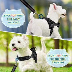 SlowTon arnés para perro pequeño, fácil de poner con cierre.