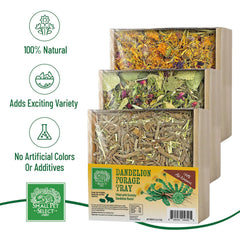 Small Pet Select Forage Tray Dandelion Mix: tentempié terroso y estimula exploración diaria.