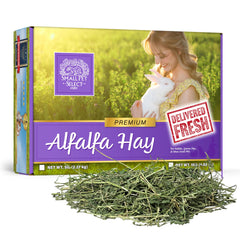Small Pet Select heno de alfalfa para conejos jóvenes, favorece crecimiento y desgaste dental.