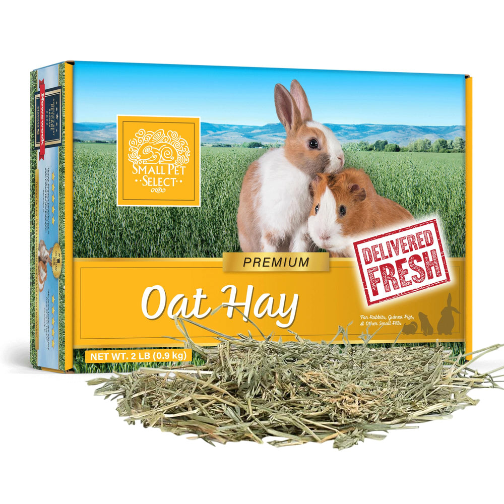 Small Pet Select heno de avena, pack de 2 lb, complemento ideal para la rotación de heno.