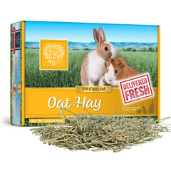 Small Pet Select heno de avena, pack de 2 lb, complemento ideal para la rotación de heno.