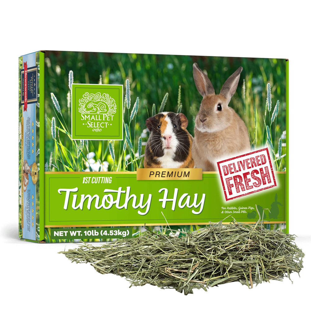 Small Pet Select heno timoteo 1ra corte en caja, fibra alta para desgaste dental natural.