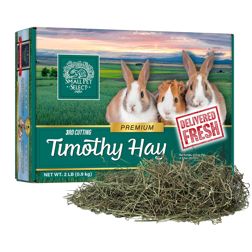 Small Pet Select heno Timothy 3er corte, hojas suaves para una ingesta más agradable.
