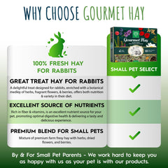 Small Pet Select mascota comiendo heno gourmet, experiencia sensorial al comer.