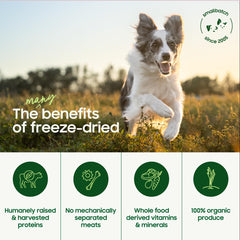 Smallbatch Pets verduras orgánicas para dietas naturales y sanas