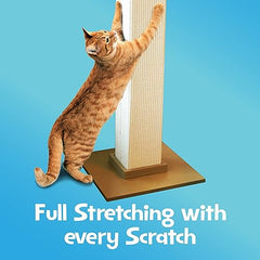 SmartCat base-16x16-estabilidad para evitar vuelcos durante el juego.
