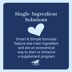 SmartEquine Magnesium - polvo que se mezcla con el alimento diario del caballo.