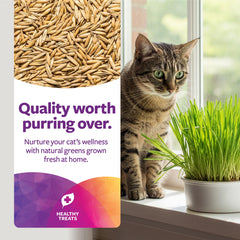 SmartyKat Sweet Greens: opción segura frente a plantas de interior para gatos