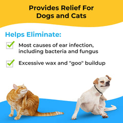 Aplicación en oreja de gato con Smiling Paws Pets Tris Flush.