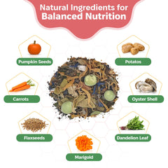 Snout and Shell Alimento para isópodos: ingredientes naturales para una dieta variada