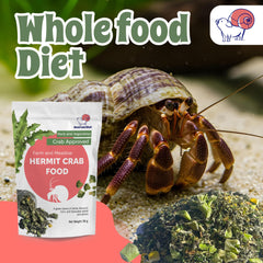 Snout and Shell — cereales-germees, apport doux en nutriments et énergie naturelle.