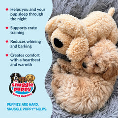 Apariencia mezcla caniche de Snuggle Puppy para cachorros de pelo rizado