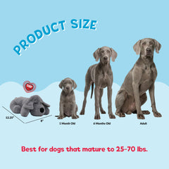 Snuggle Puppy usa materiales seguros e hipoalergénicos para tu mascota.