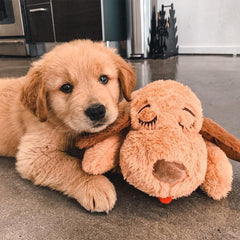 Pulso real de Snuggle Puppy para ayudar a dormir al cachorro.
