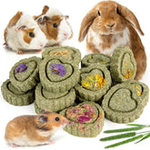 Sofier friandises foin Timothy en boîte, texture croquante pour le rongement et la mastication.