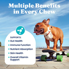 Solid Gold Dog Multivitamin, apto para seniors y cachorros con textura suave.