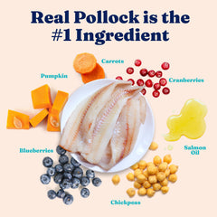 Solid Gold con pollock de Alaska y probióticos para digestión saludable.