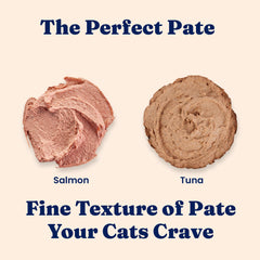 Solid Gold pate-textura-suave, ideal para gatos con estómago sensible.