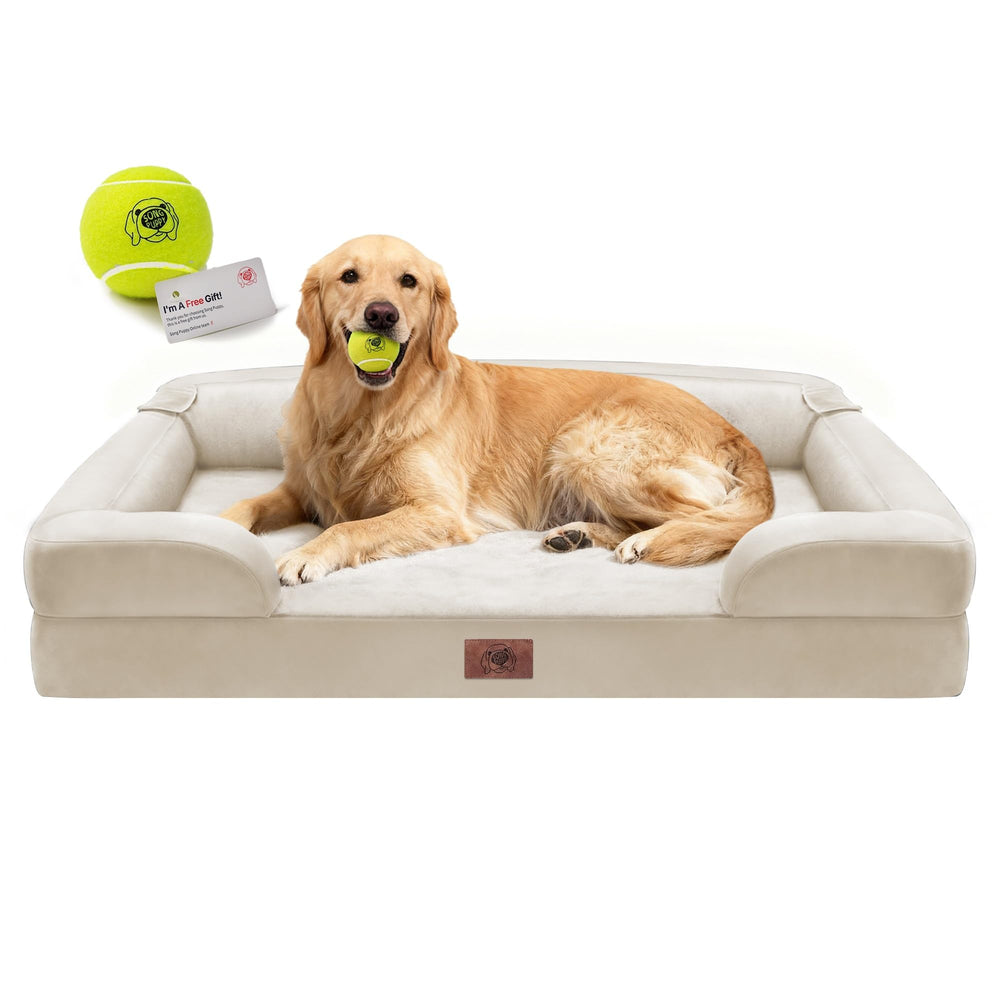 Cama Song Puppy XL, vista superior, soporte ortopédico para perros grandes.