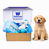 SoSoCute kit perrito 5 piezas: todo lo esencial para un cachorro