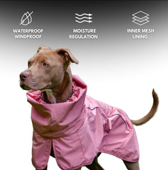 Spark Paws tiras reflectivas para paseos nocturnos más seguros