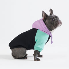 Spark Paws sudadera para perro, vista frontal, ideal para paseos diarios