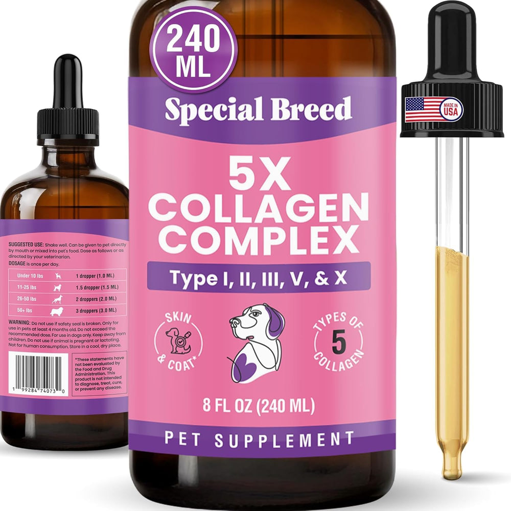 Special Breed Collagen para perros, botella lĂquida para mezclar y apoyar articulaciones.