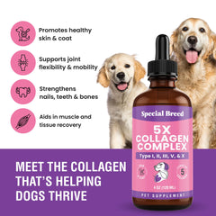 Special Breed Colágeno para perros: piel suave y pelaje brillante con fĂłrmula lĂquida.