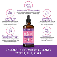 Special Breed Collagen para perros, mezcla de 5 tipos para soporte integral.