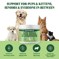 Special Breed mezcla con comida diaria, opción práctica para perros y gatos.