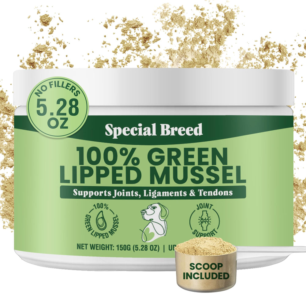 Special Breed polvo mejillón labio verde para perros, apoya movilidad diaria.