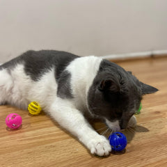 Pack de cuatro bolas SPOT: colores variados para variedad de juego
