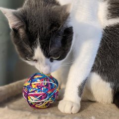 SPOT bola de espuma con lana, ideal para arañar y jugar.