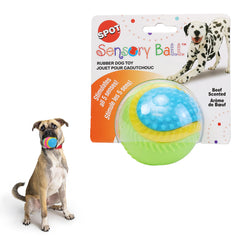 SPOT Pelota Sensorial para perros con Cascabel, ideal para juego interactivo y estimulación sonora.