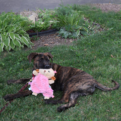 SPOT Soothers Tabbie Lambie, chirriador oculto para más interacción durante el juego.