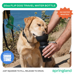 Springer Flip: diseño compacto y ligero para mochilas y viajes