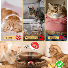 SREBAY Diseño magnético reconfigurable para formas, atrayendo al gato.