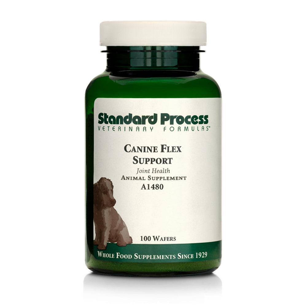 Standard Process Canine Flex Support envase, pastillas masticables para perros, favorece movilidad.