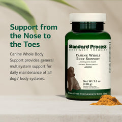 Standard Process Inc. canino base-nutricional polvo: complemento para dieta balanceada.