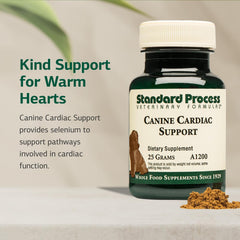Standard Process Inc. Higado de vaca como ingrediente clave para perros.