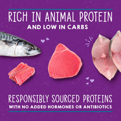 Textura jugosa de Carnivore Cravings servida en plato para gatos curiosos.