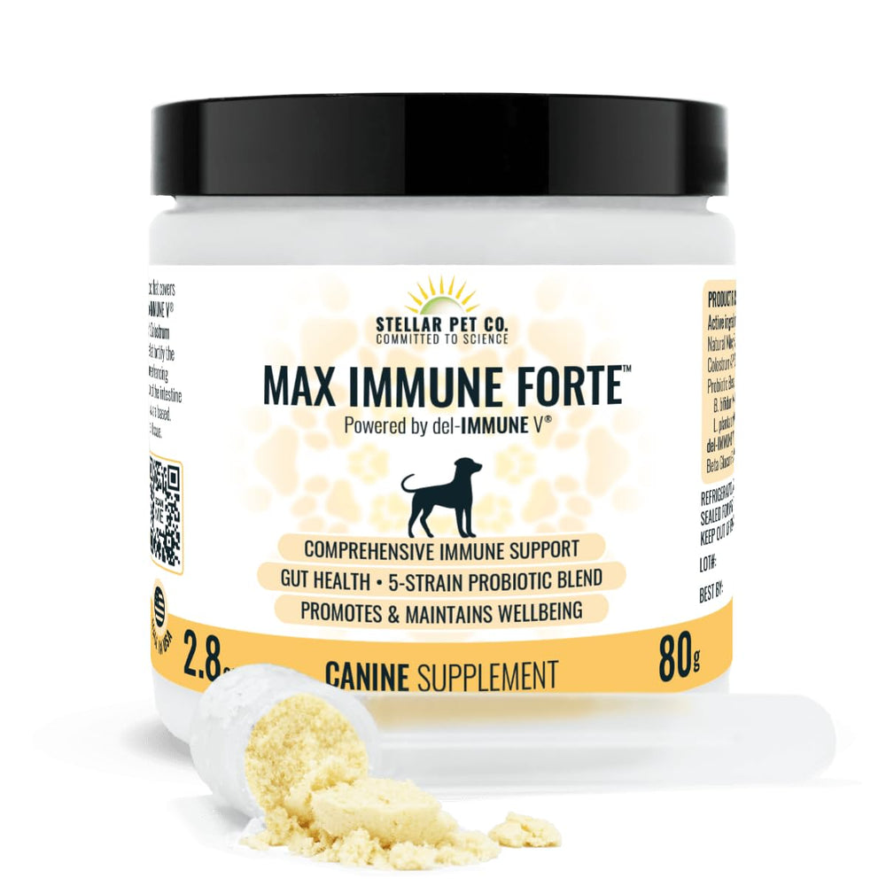 Stellar Biotics Max Immune Forte para perros, botella, apoyo inmunológico diario y equilibrio intestinal.