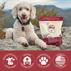 Steve's Real Food trozos liofilizados de carne, sabor intenso que facilita comer a perros y gatos exigentes.