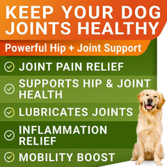 STRELLALAB glucosamina para perros grandes con omega-3: apoyo articular
