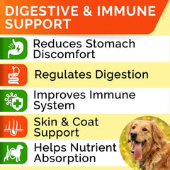 STRELLALAB probióticos para perros envases dobles, suministro prolongado.