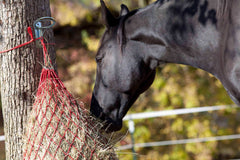 Sukeyme instalación en establo para cubos de caballo