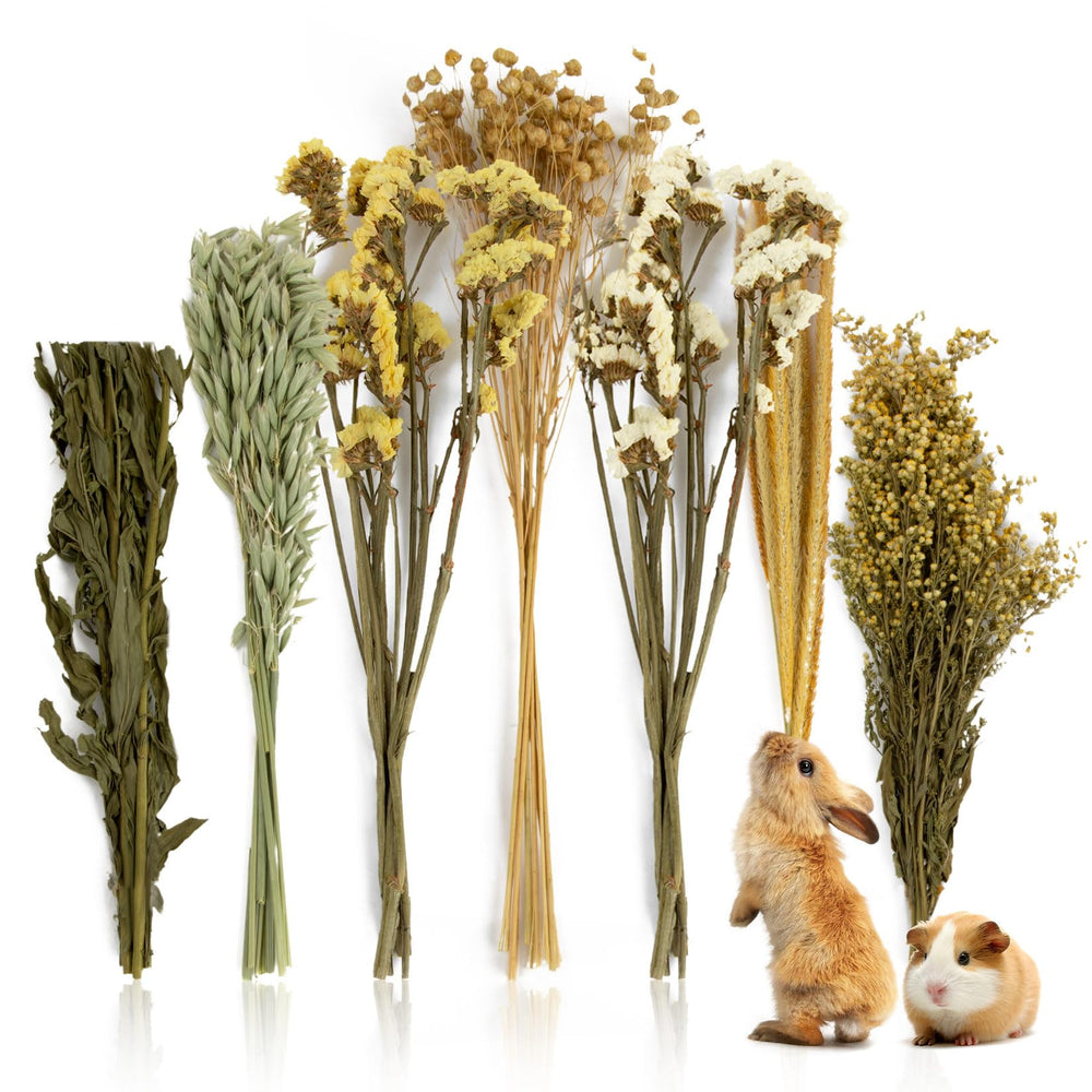 Sukh cama natural hamster flor herb sprays: descanso cómodo y seguro para roedores