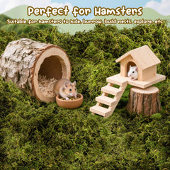 Sukh Hamster Moss absorción de humedad: mantiene el hábitat seco.